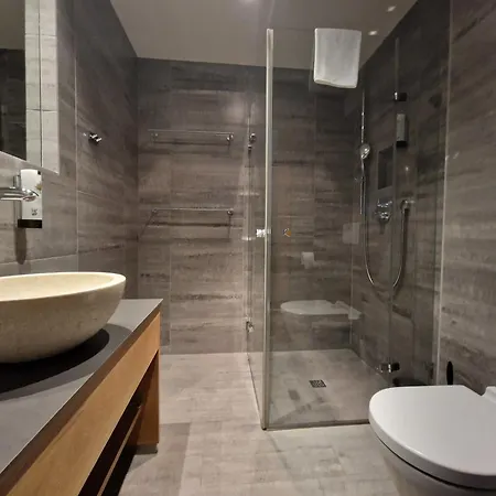 Max Residence Downtown Zell - Steinbock Lodges Apartment Zell am See