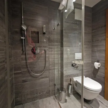 Max Residence Downtown Zell - Steinbock Lodges Apartment Zell am See
