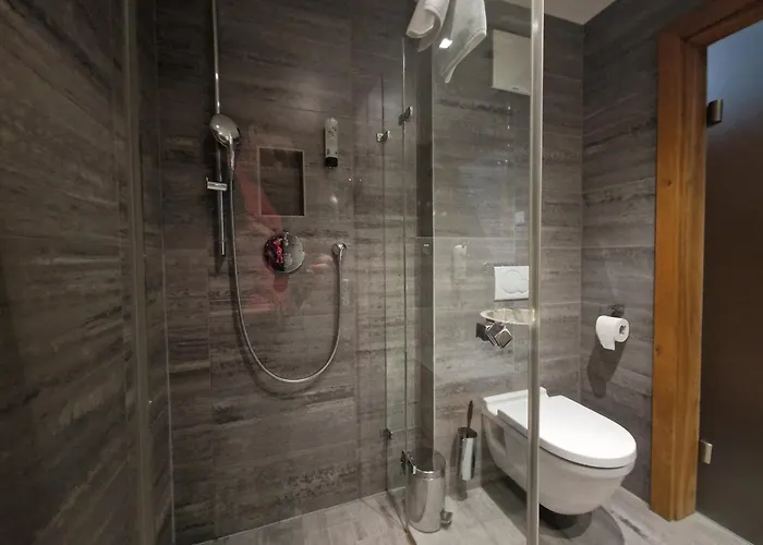 Max Zell Am - Steinbock Lejlighed Zell am See